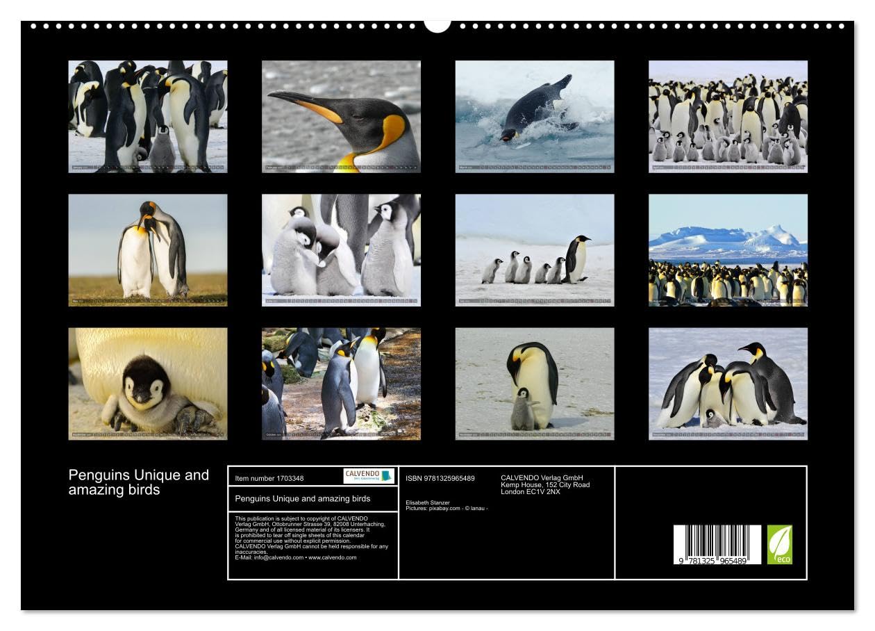 Penguins Unique and amazing birds (hochwertiger Premium Wandkalender 2025 DIN A2 quer), Kunstdruck in Hochglanz Books