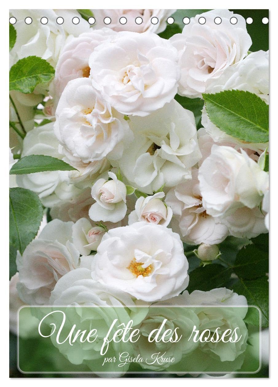 Une fête des roses (Tischkalender 2025 DIN A5 hoch), CALVENDO Monatskalender Books