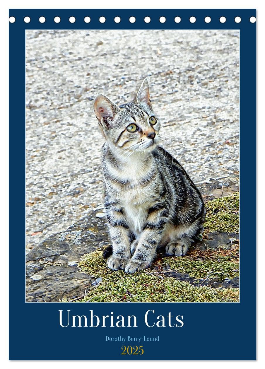 Umbrian Cats (Tischkalender 2025 DIN A5 hoch), CALVENDO Monatskalender Calendars
