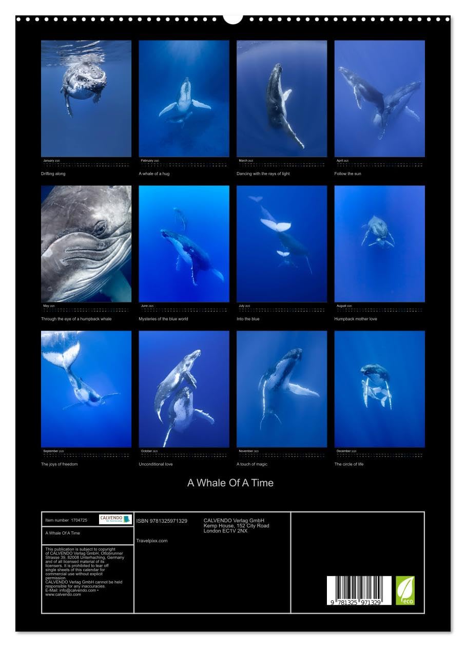 A Whale Of A Time (hochwertiger Premium Wandkalender 2025 DIN A2 hoch), Kunstdruck in Hochglanz Books