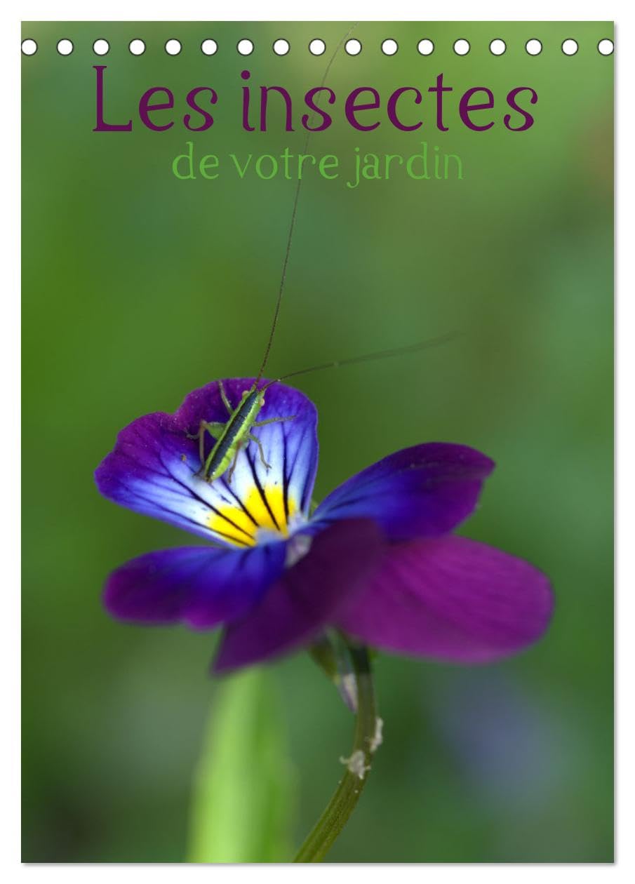 Les insectes de votre jardin (Tischkalender 2025 DIN A5 hoch), CALVENDO Monatskalender Calendars