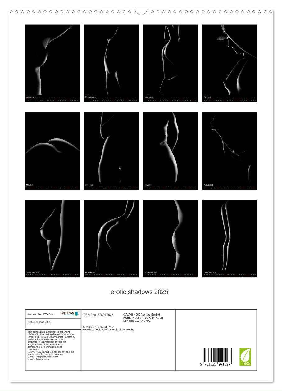 erotic shadows 2025 (hochwertiger Premium Wandkalender 2025 DIN A2 hoch), Kunstdruck in Hochglanz Books