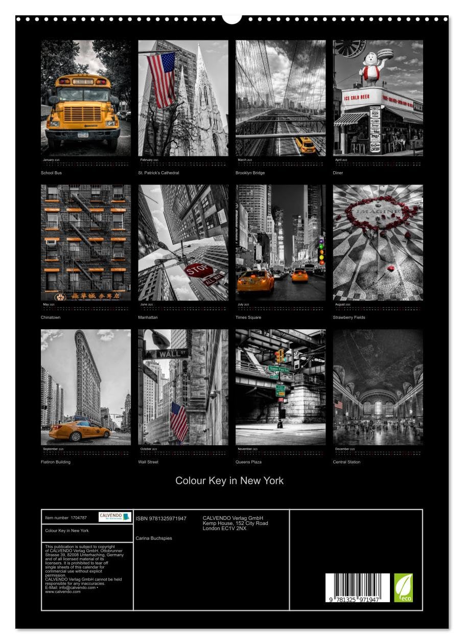 Colour Key in New York (hochwertiger Premium Wandkalender 2025 DIN A2 hoch), Kunstdruck in Hochglanz Books