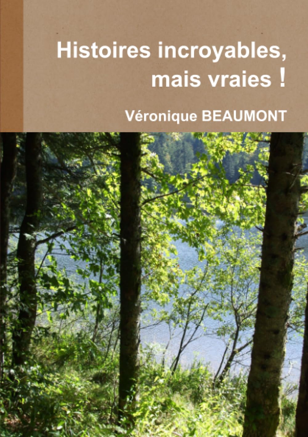 Histoires incroyables, mais vraies ! book