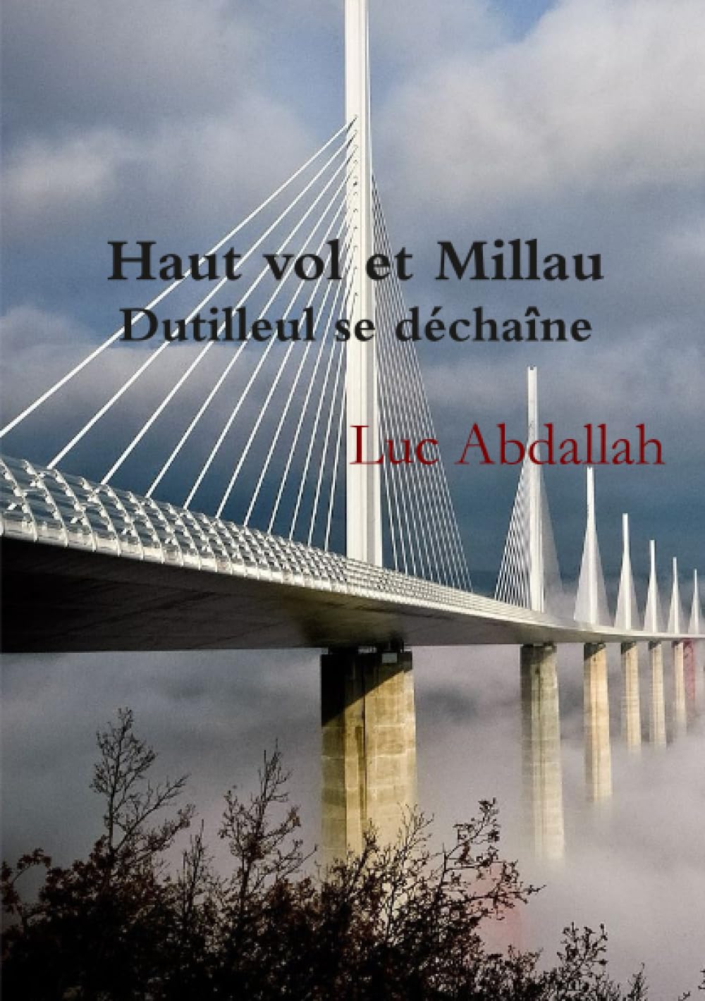 Haut vol et Millau (Dutilleul se déchaîne) book