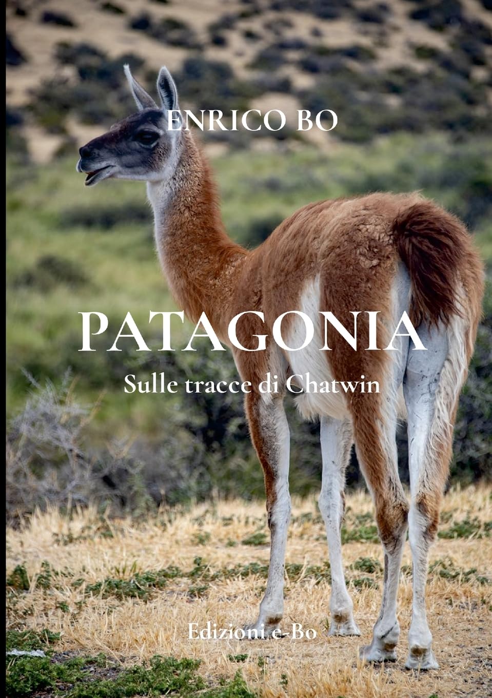 PATAGONIA  - Sulle tracce di Chatwin Leisure, Home & Garden