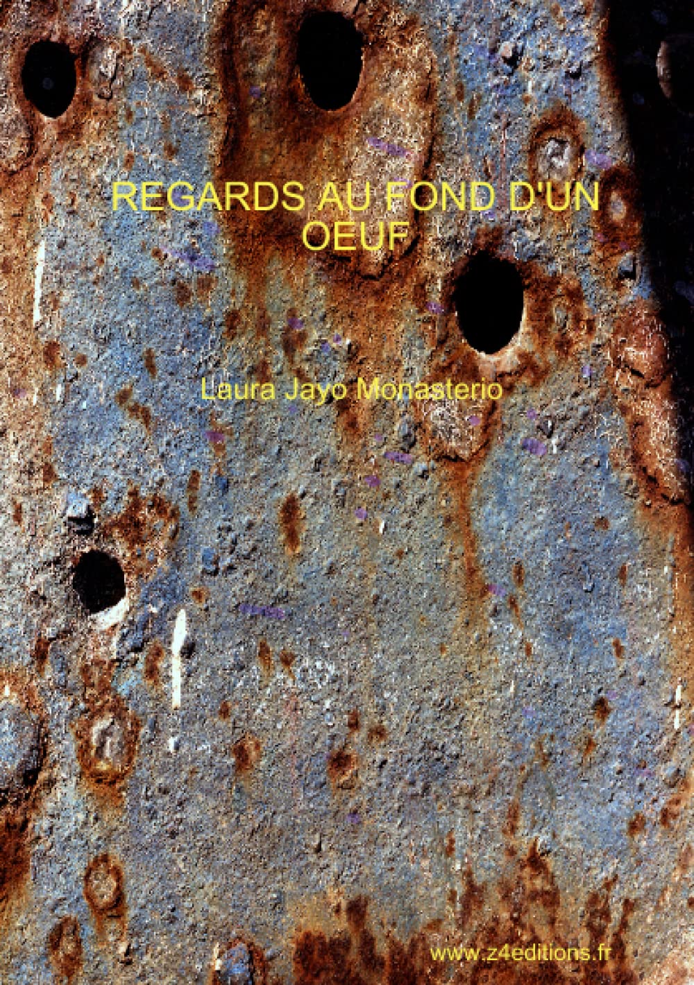 REGARDS AU FOND D'UN OEUF book