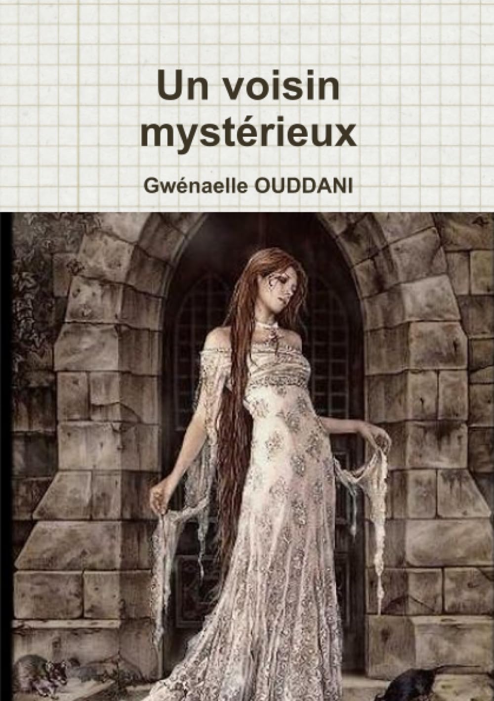 Un voisin mystérieux book
