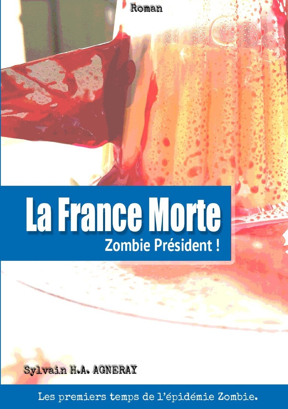 La France Morte : Zombie Président ! book
