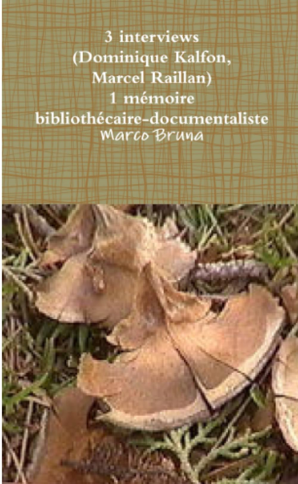 3 interviews (Dominique Kalfon, Marcel Raillan) 1 mémoire bibliothécaire-documentaliste book