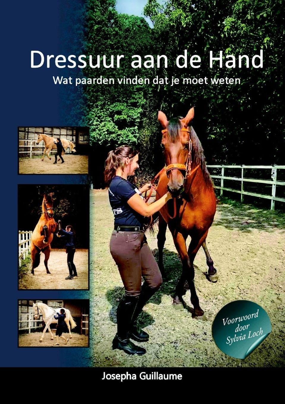 Dressuur aan de Hand Pets