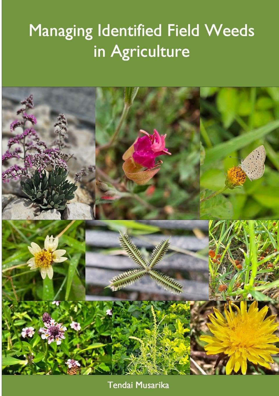Managing Identified Field Weeds in Agriculture Garden & Plants