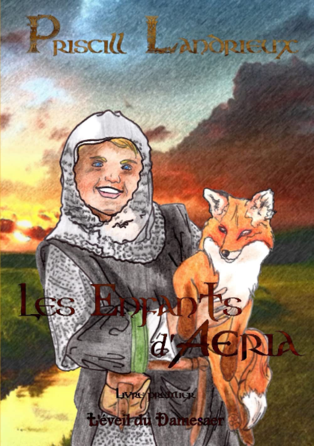 Les Enfants d'Aeria. L'éveil du Damesaer book