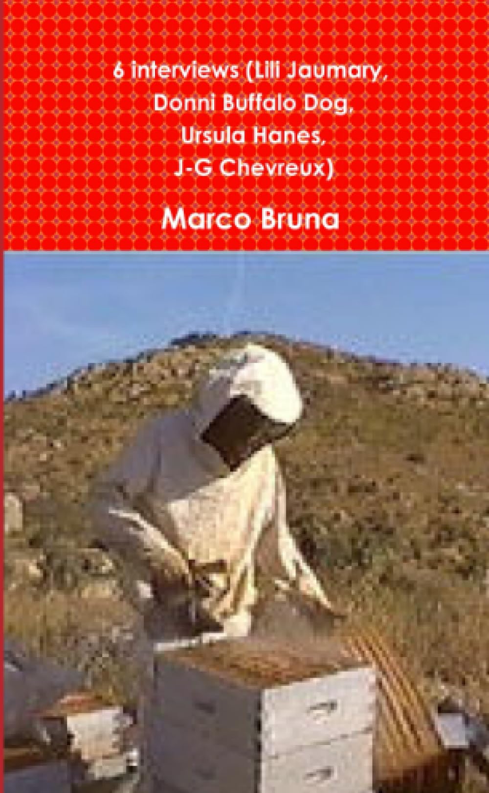 6 interviews (Lili Jaumary, Donni Buffalo Dog, Ursula Hanes, J-G Chevreux) book