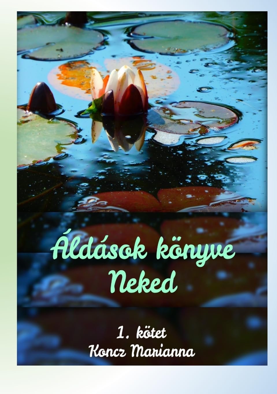 Áldások könyve Neked Religion & Esotericism