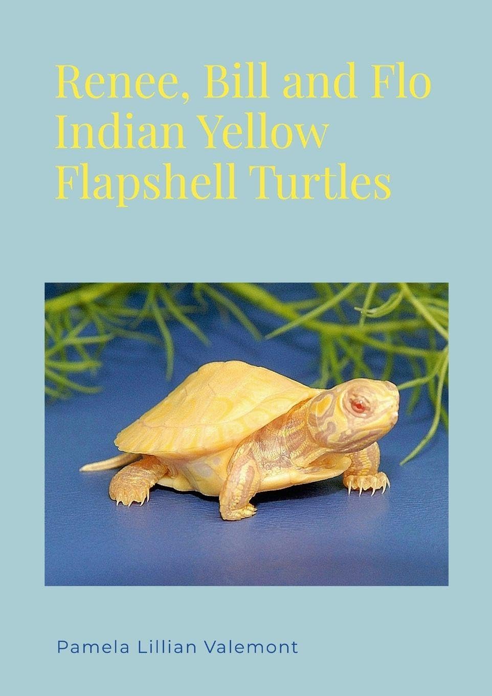 Renee, Bill and Flo Indian Yellow Flapshell Turtles Non-fiction