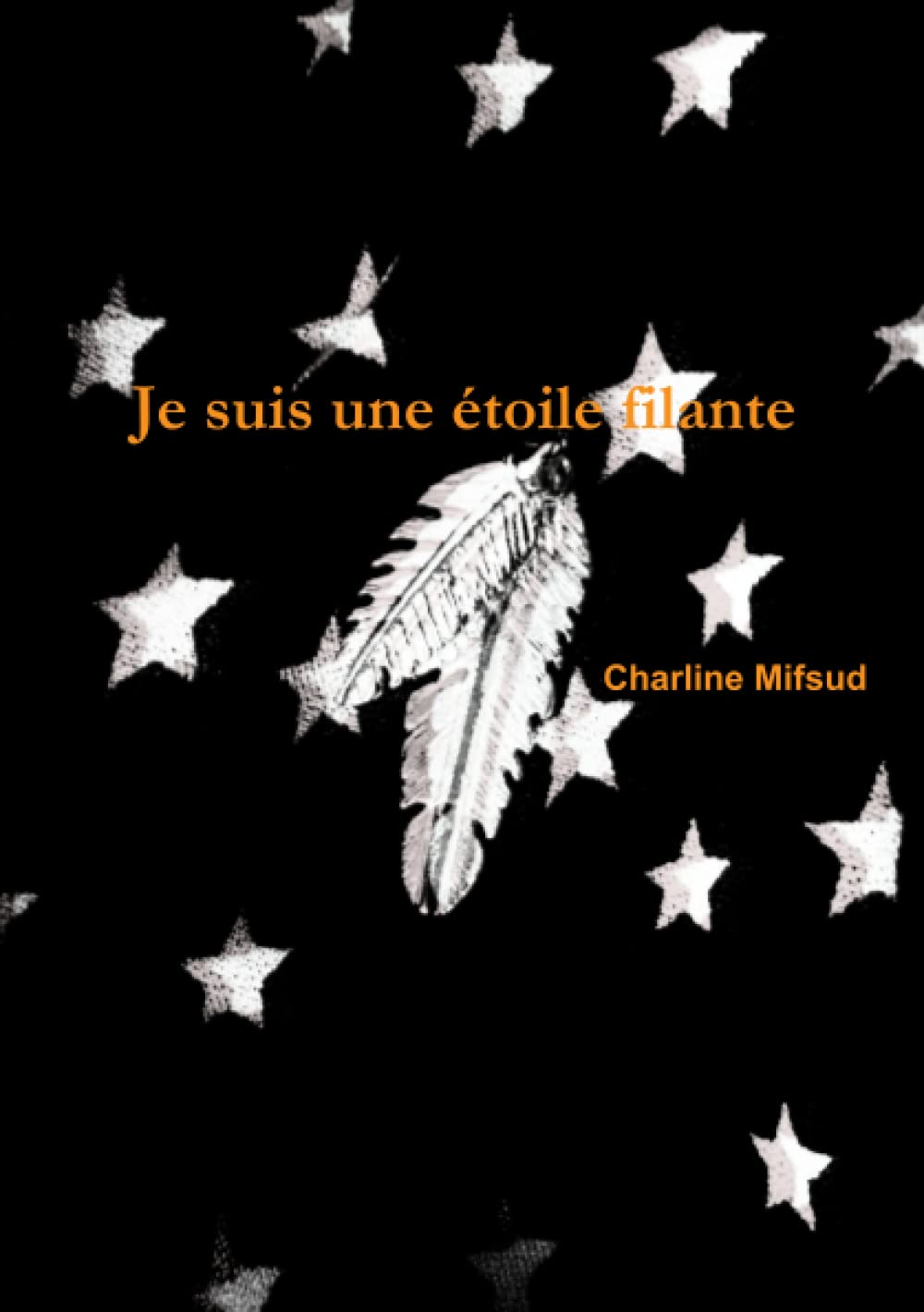 Je suis une étoile filante book