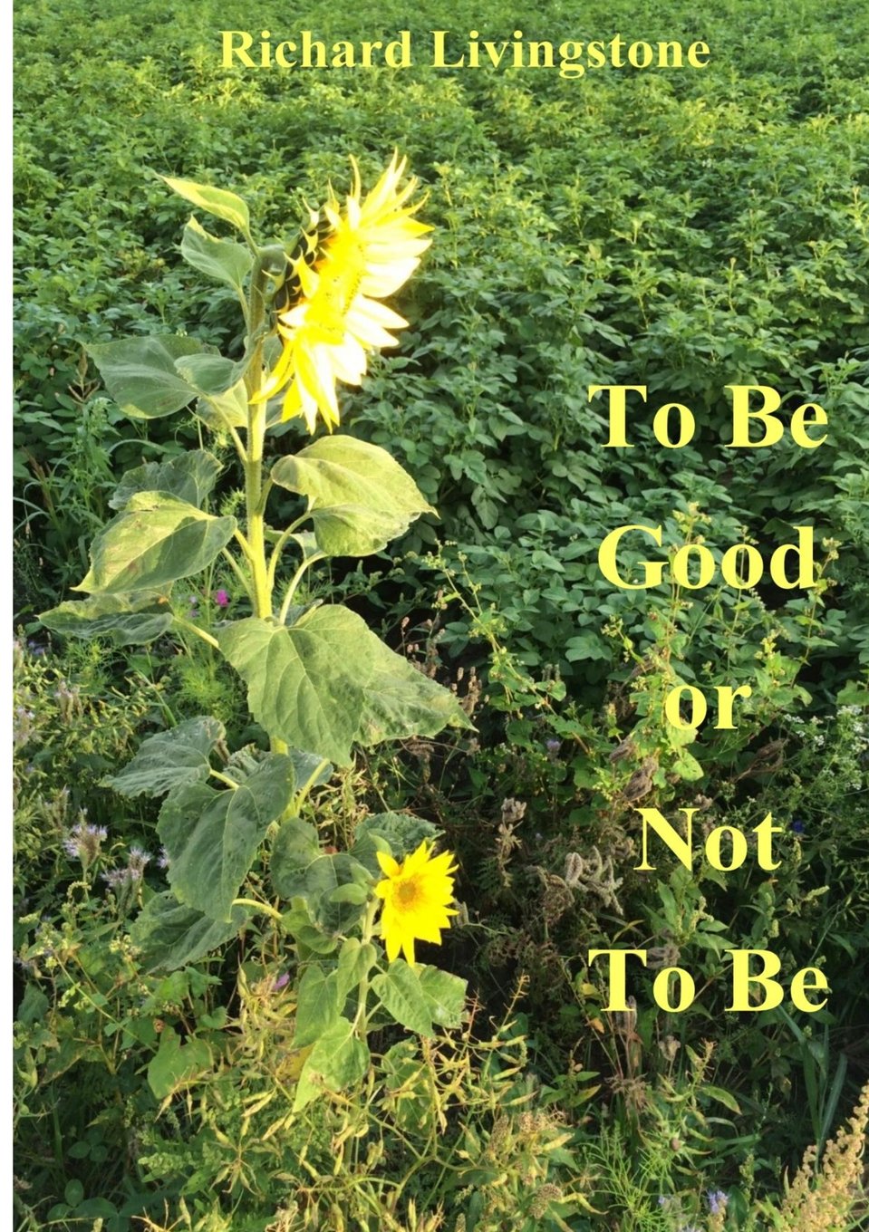 To be Good or Not to be Self-help