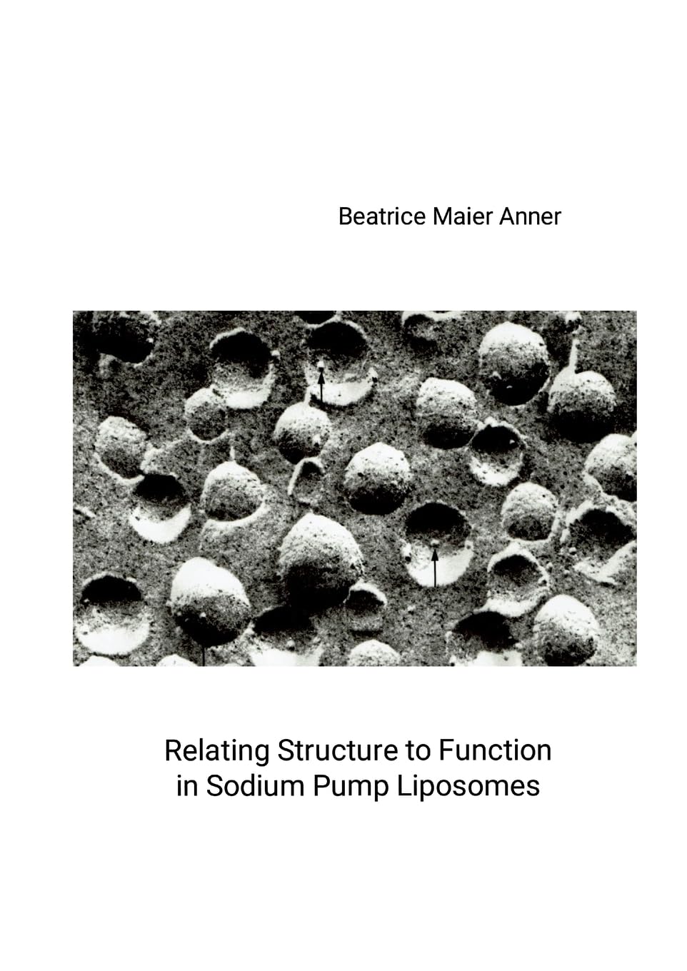 Product Image: Relating Structure to Function in Sodium Pump Liposomes