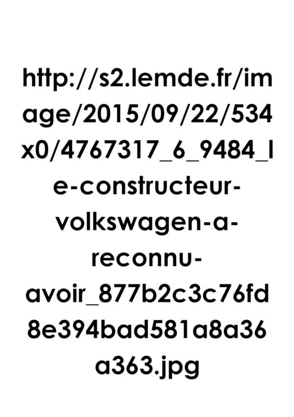 le constructeur-volkswagen-a-reconnu-avoir book