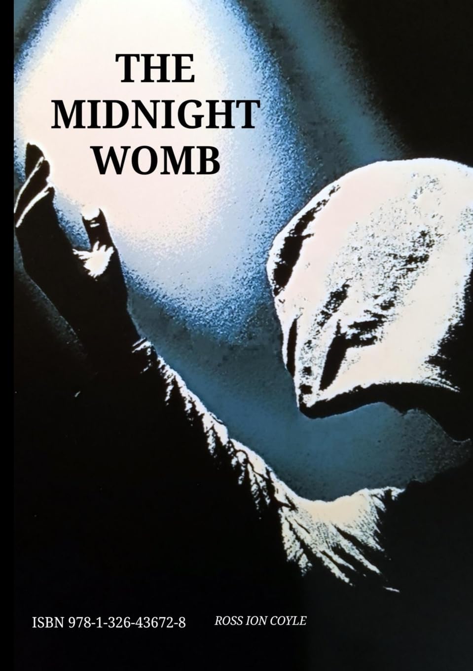 Product Image: The Midnight Womb