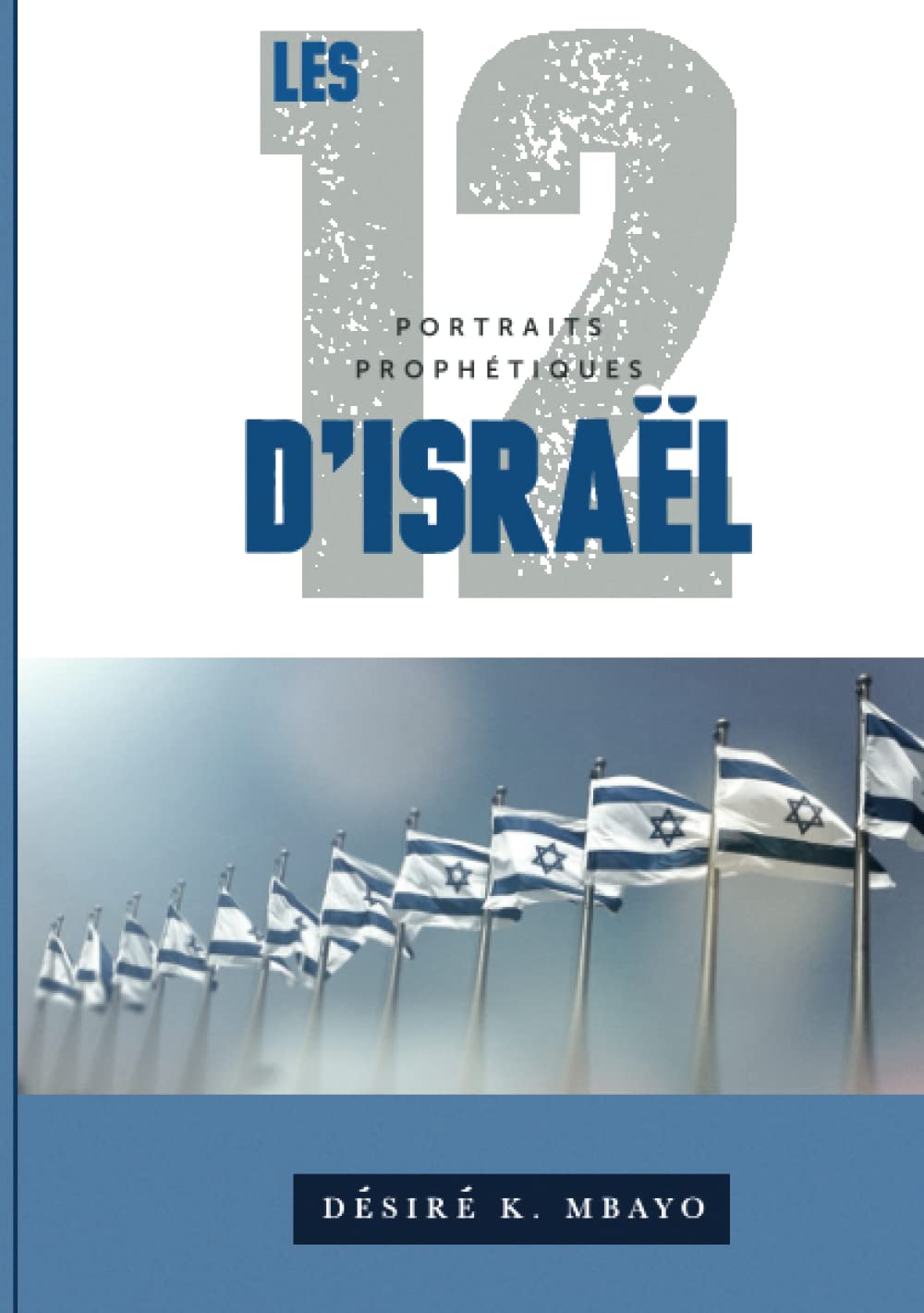 LES DOUZE PORTRAITS PROPHÉTIQUES D’ISRAËL book
