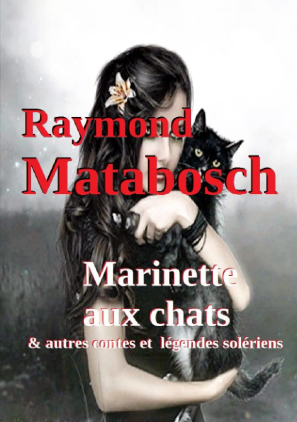 Marinette aux chats & autres contes et légendes solériens book