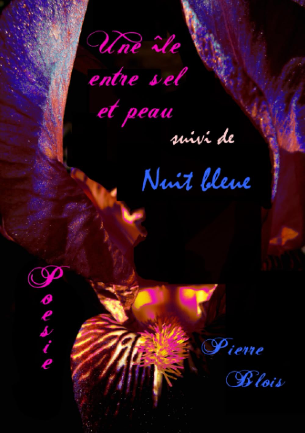 Une île entre sel et peau suivit de Nuit bleue book