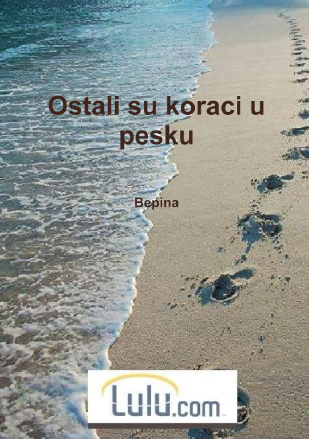Ostali su koraci u pesku book