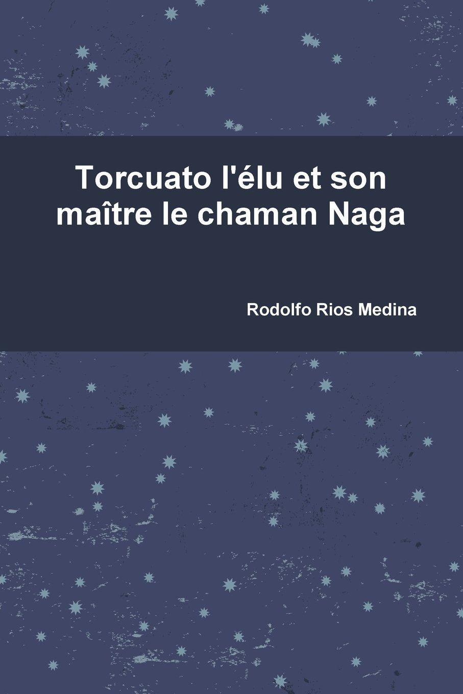 Torcuato l'élu et son maître le chaman Naga Contemporary literature