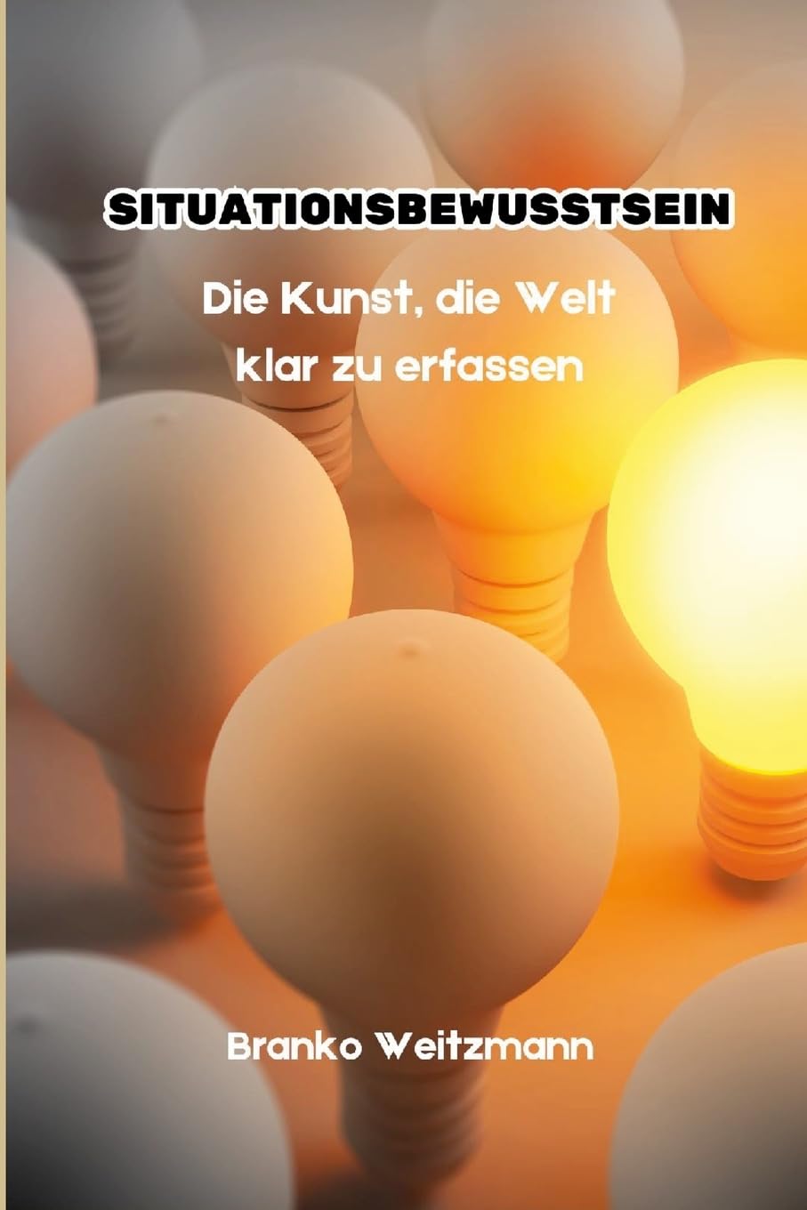 Situationsbewusstsein: Die Kunst, die Welt klar zu erfassen Business, Finance & Career
