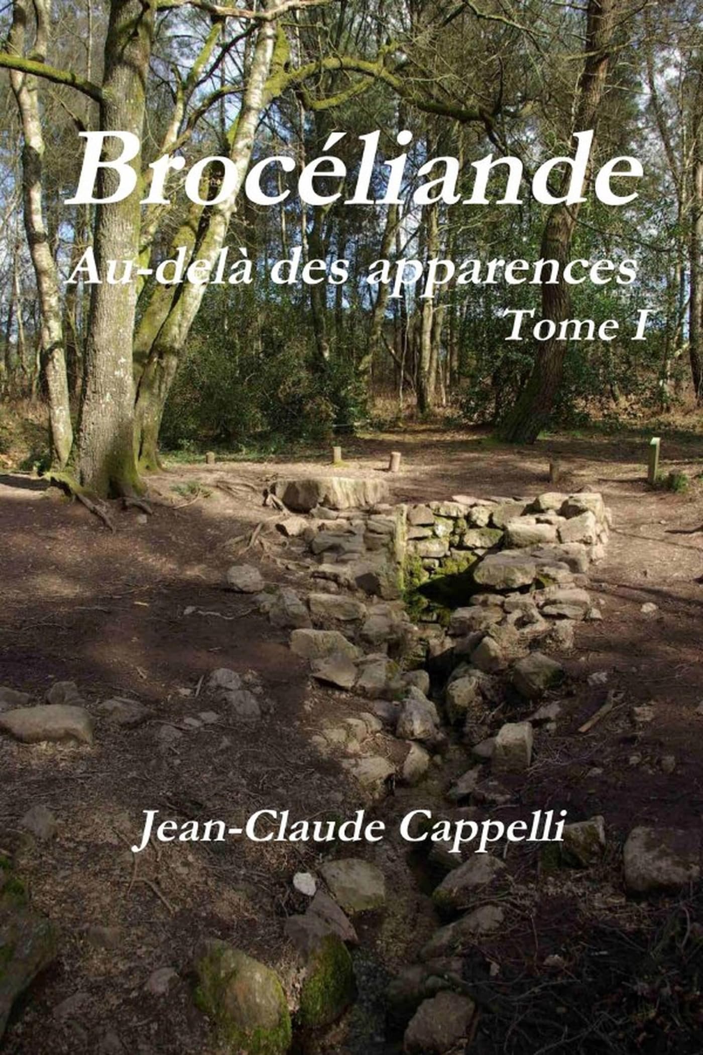 Brocéliande Au-delà des apparences book