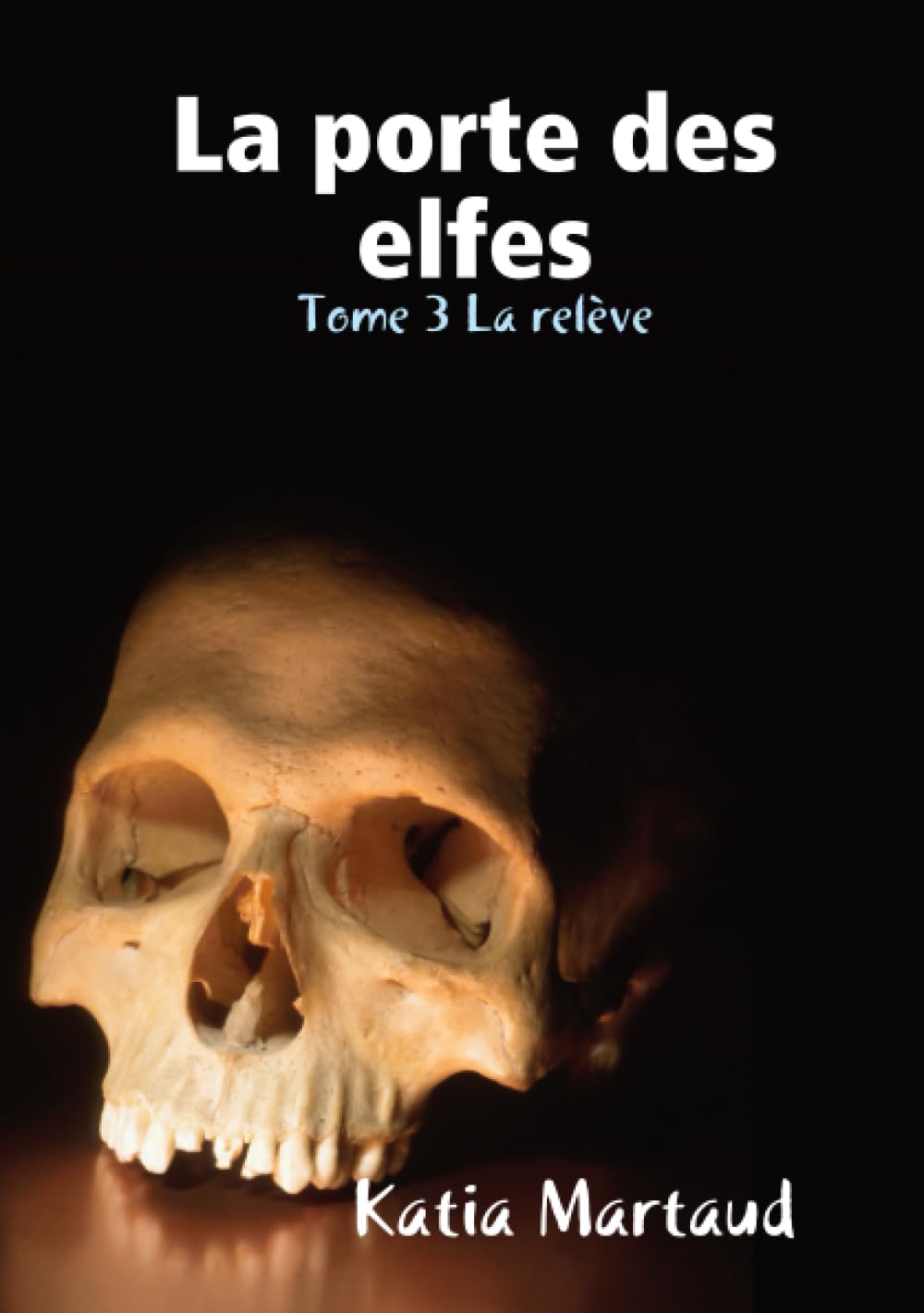 La porte des elfes Tome 3 La relève Contemporary literature