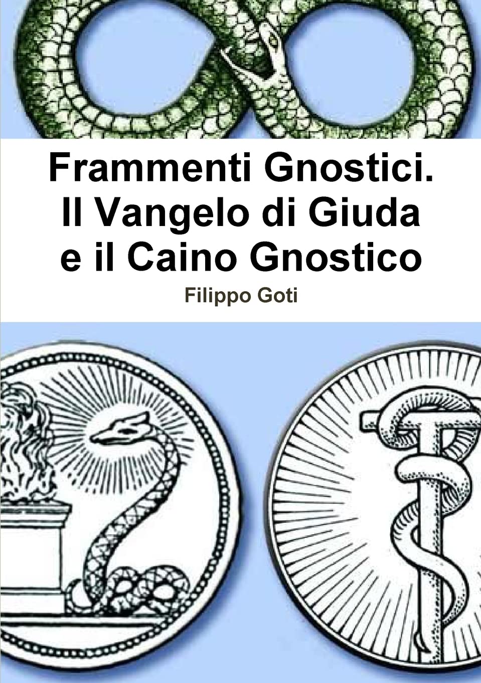Frammenti Gnostici: Il Vangelo di Giuda e il Caino Gnostico book
