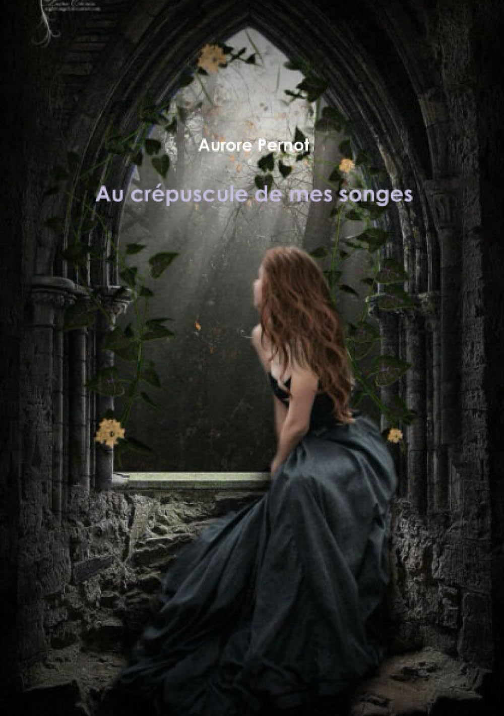 Au crépuscule de mes songes Contemporary literature