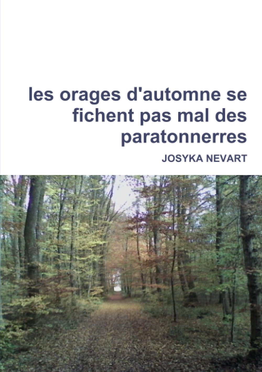 les orages d'automne se fichent pas mal des paratonnerres book