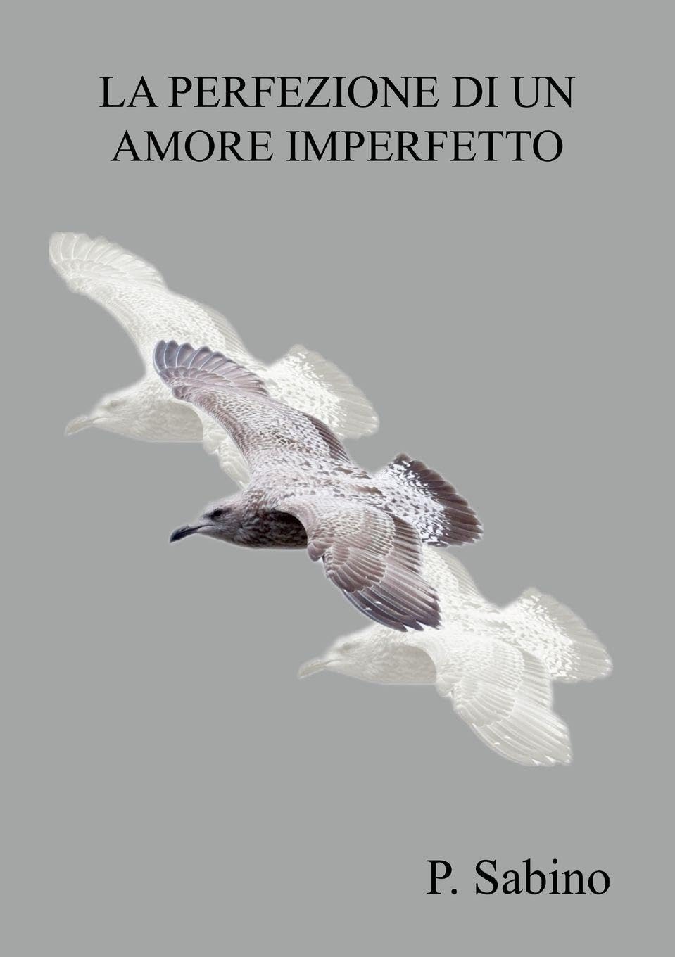 La perfezione di un amore imperfetto Contemporary literature