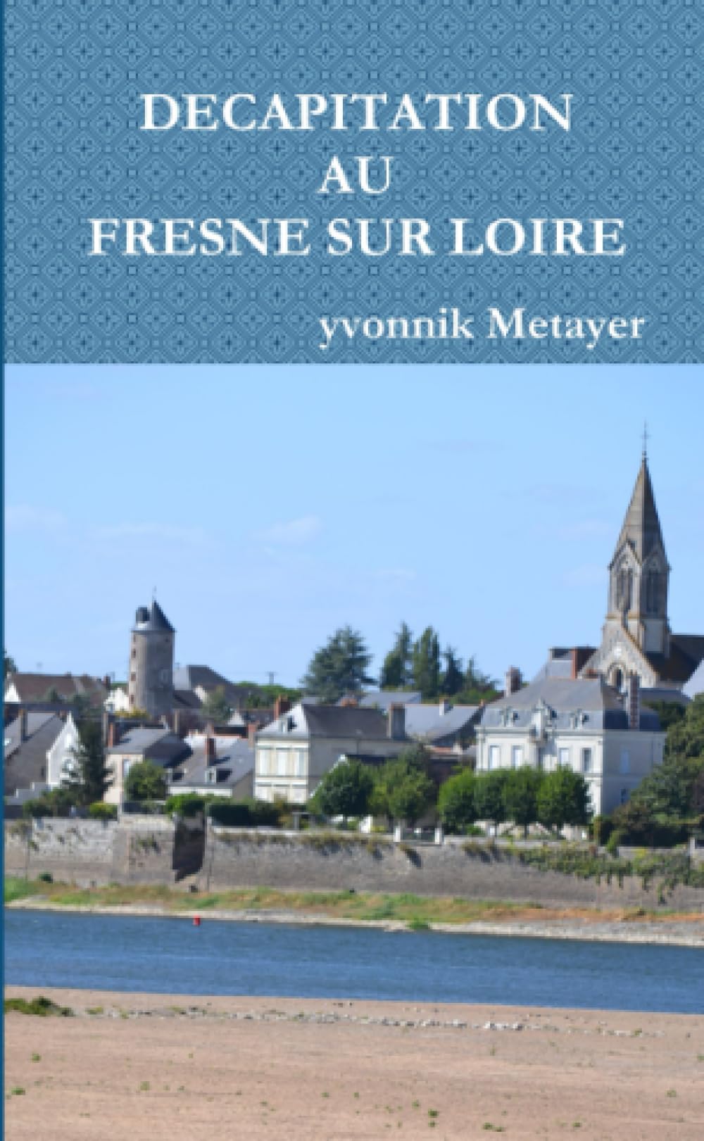 DECAPITATION AU FRESNE SUR LOIRE book