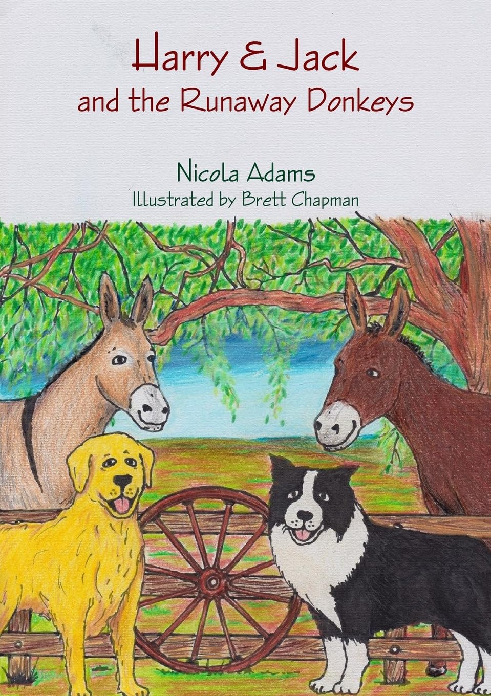 Harry & Jack and the Runaway Donkeys Novels & Short Stories