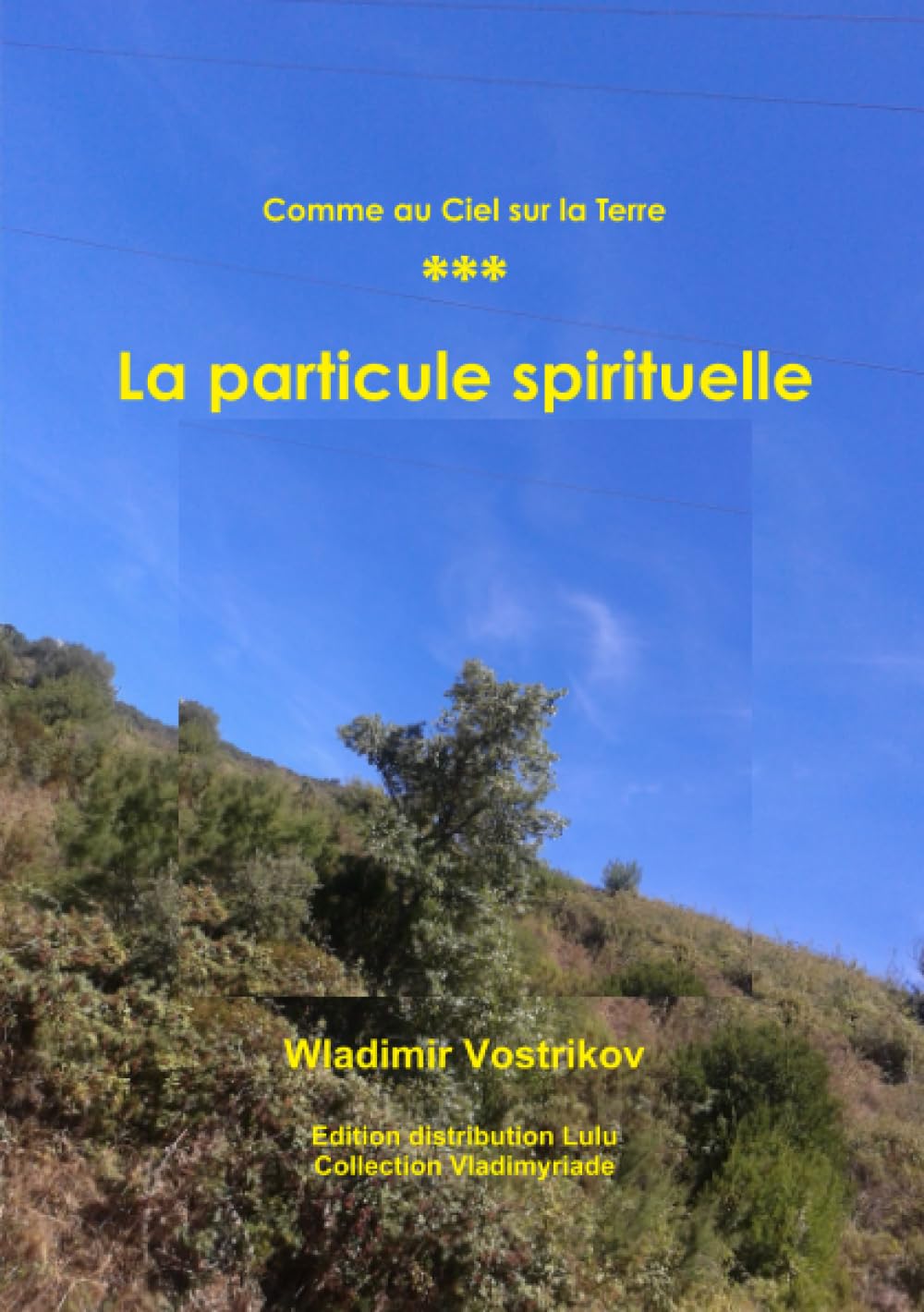 Comme au Ciel sur la Terre - La particule spirituelle book