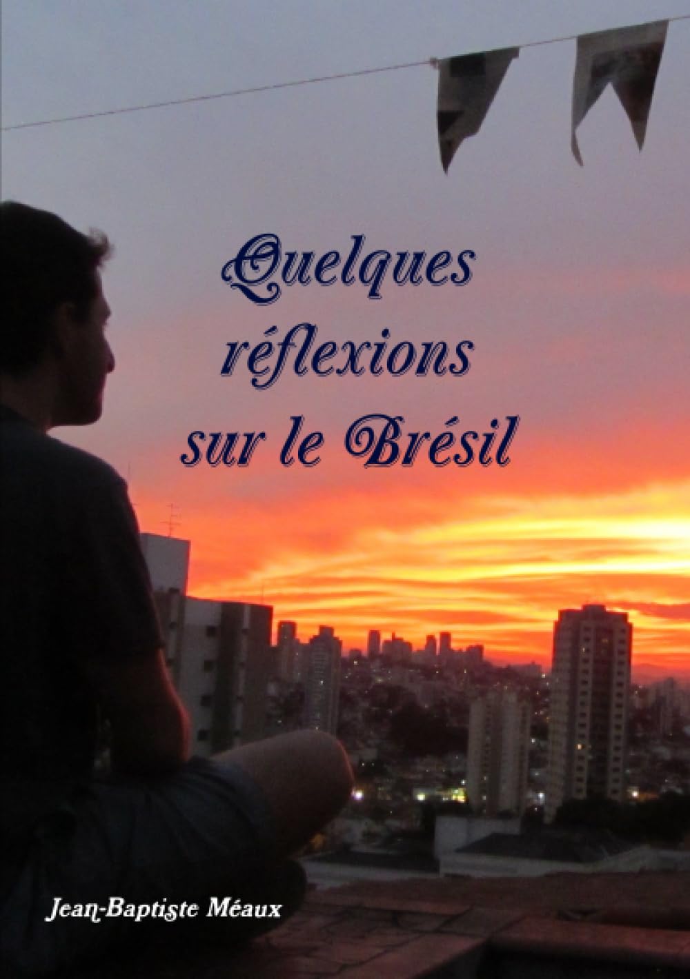 Quelques réflexions sur le Brésil book