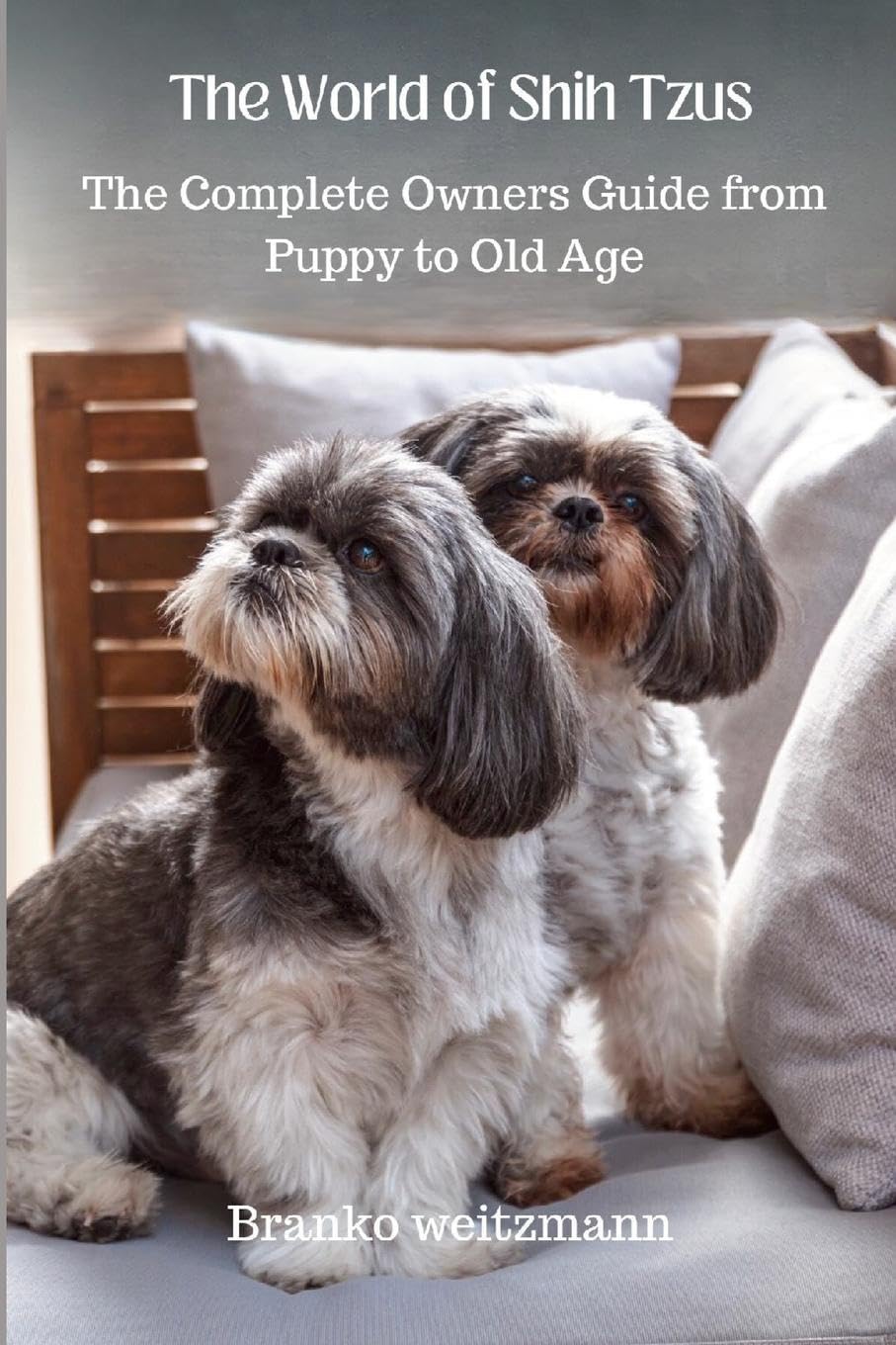 The World of Shih Tzus Pets