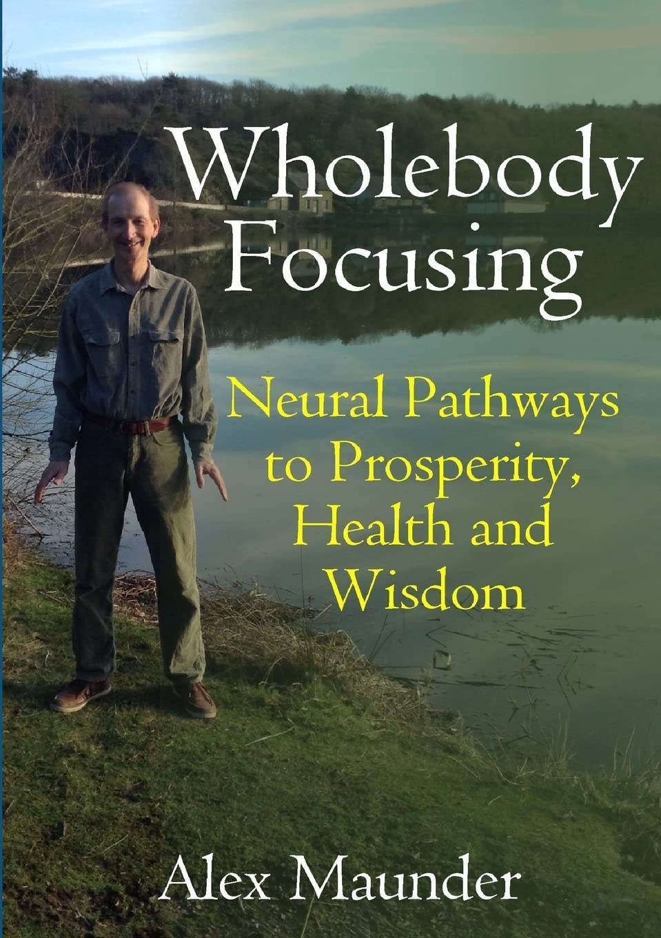 Wholebody Focusing: Neural Pathways to Prosperity, Health and Wisdom book