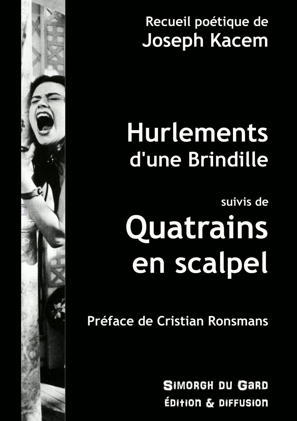 Hurlements d'une Brindille - Quatrains en scalpel book