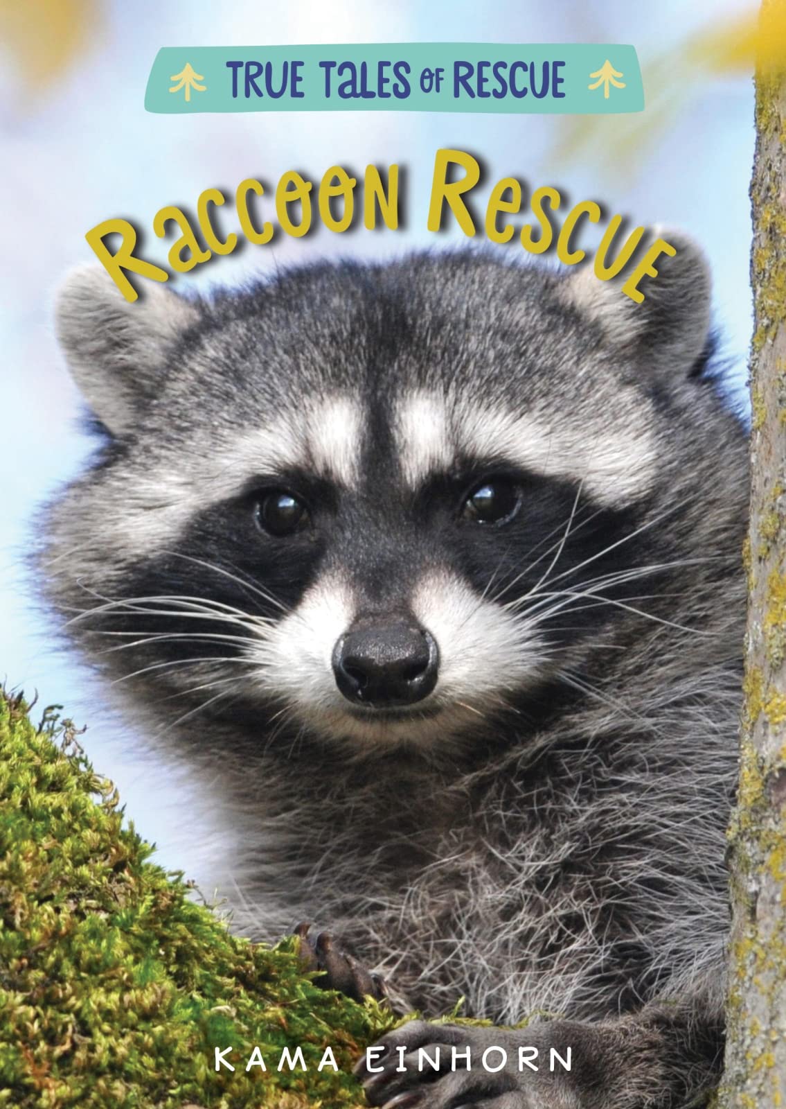 Raccoon Rescue (True Tales of Rescue) Non-fiction