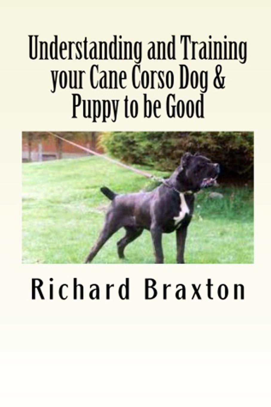 Understanding and Training your Cane Corso Dog & Puppy to be Good Pets
