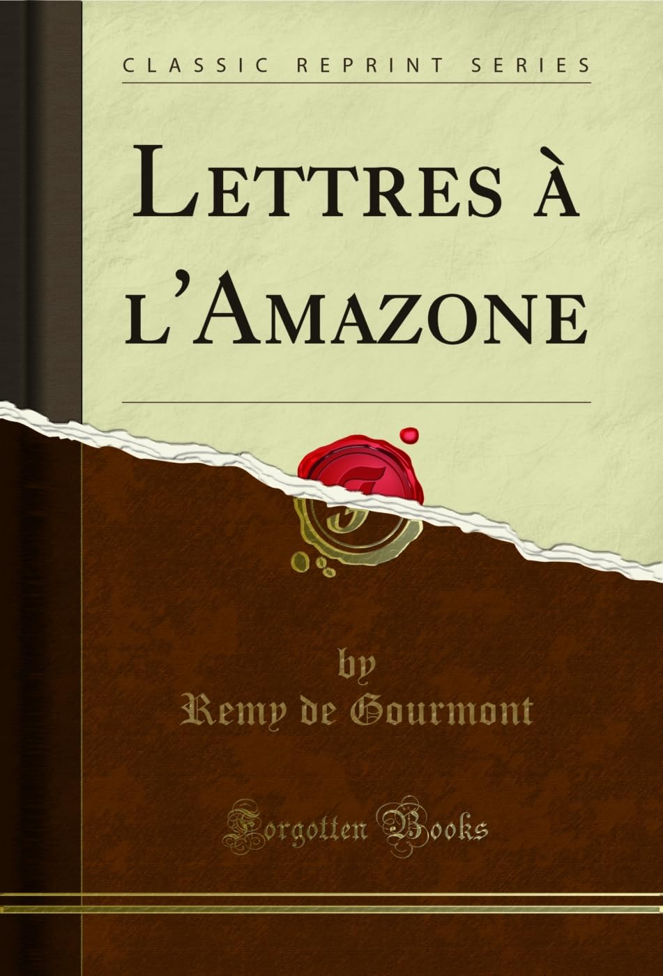 Lettres À l'Amazone (Classic Reprint) book