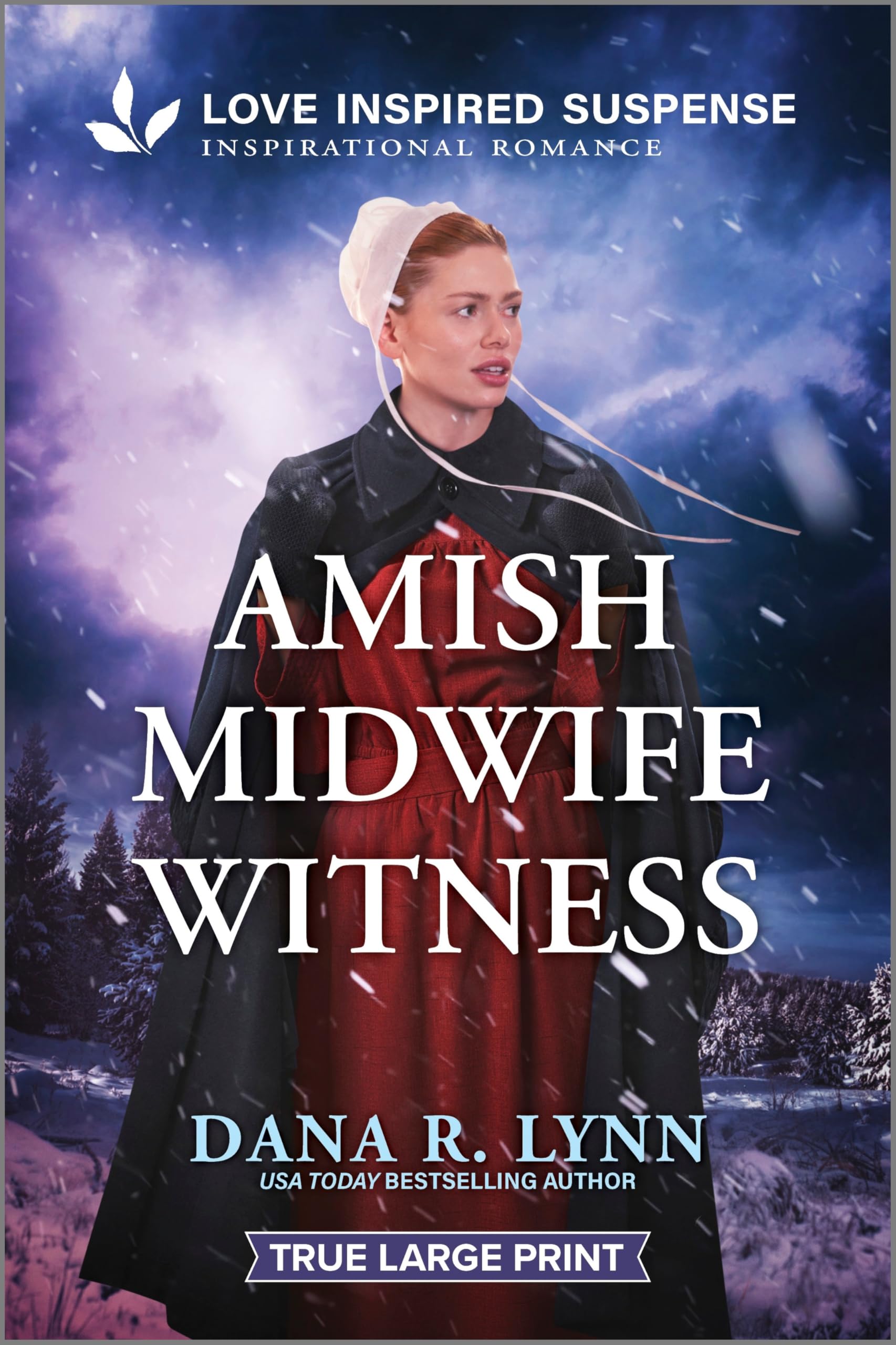 Amish Midwife Witness (Amish Country Danger, 1) Suspense & Thrillers