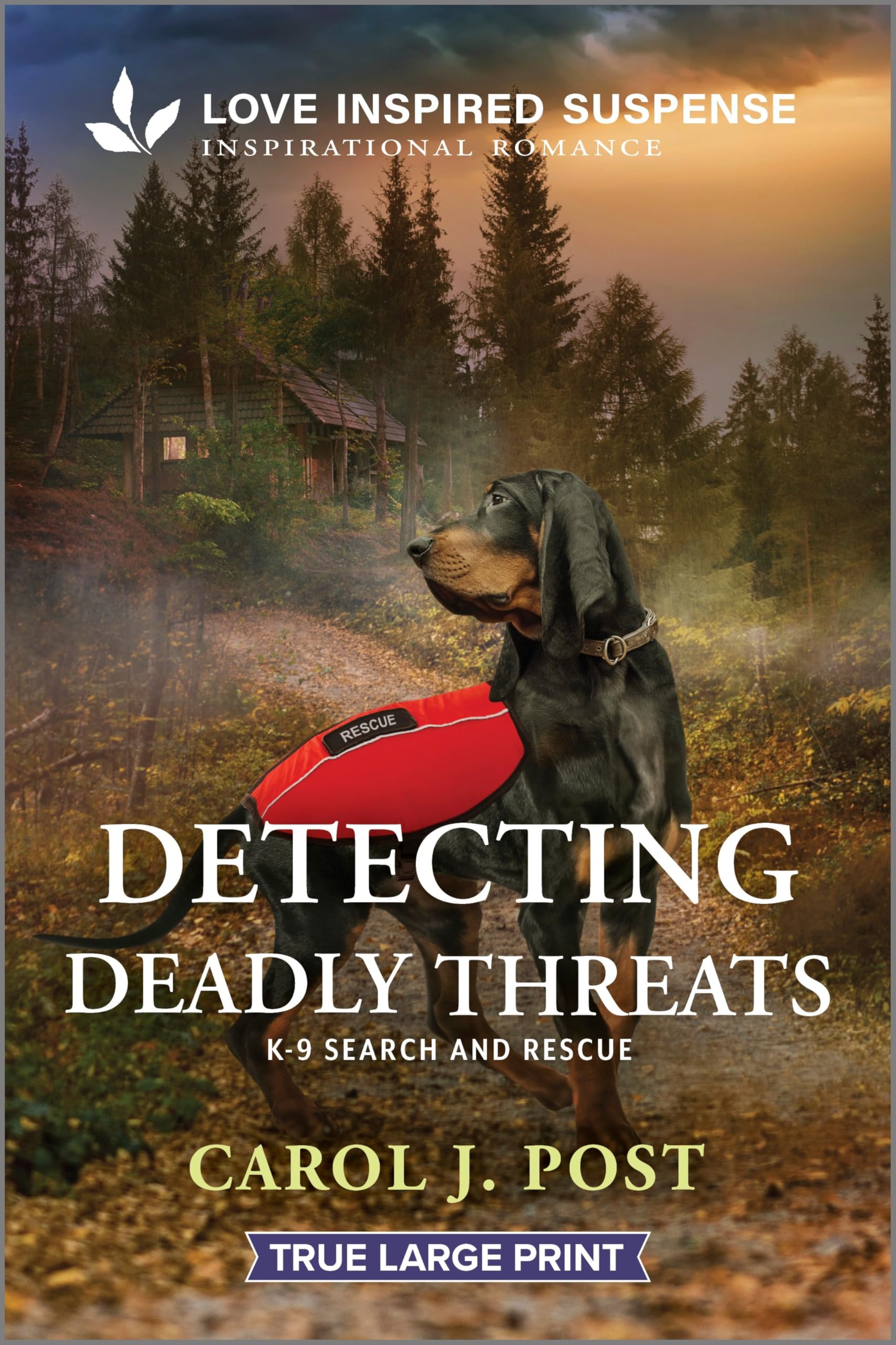 Detecting Deadly Threats (K-9 Search and Rescue, 16) Contemporary literature