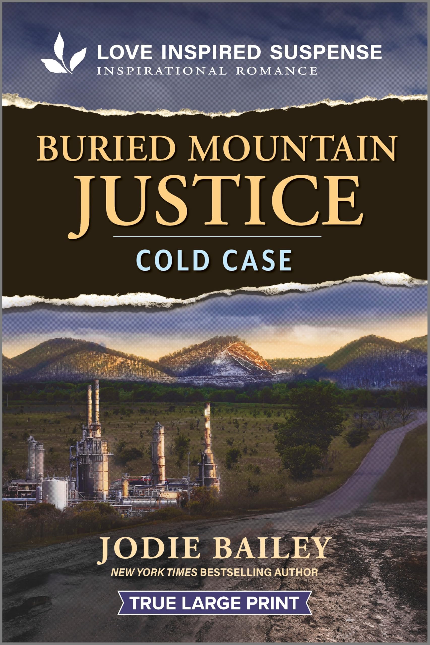Buried Mountain Justice (Trinity Investigative Team, 3) Suspense & Thrillers